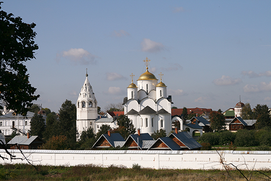pokrov monost