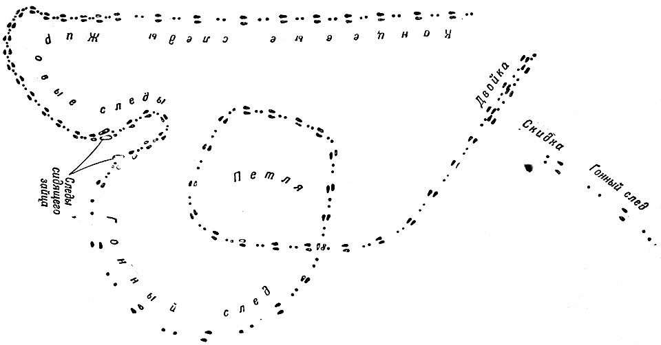 320151203112640