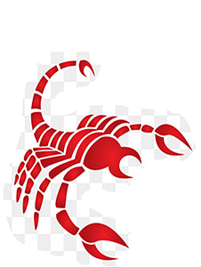 scorpion