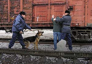 49731