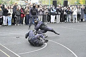 80436.webp