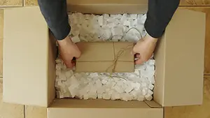 40509