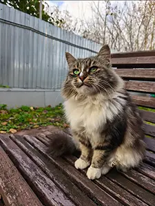 60722