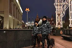 87217.webp