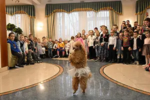 86656.webp