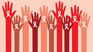 46252