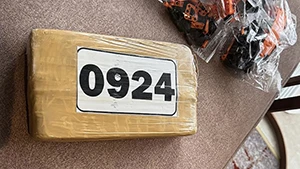 44564