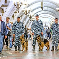 10_007.jpg