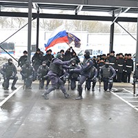 1250.jpg