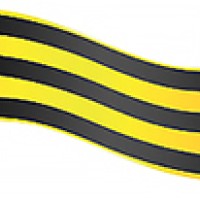 15245.jpg