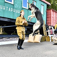 2710.jpg