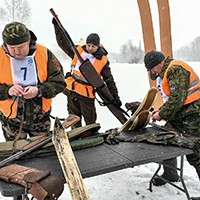 30499.jpg