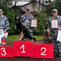 30603.jpg
