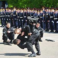 44964.jpg