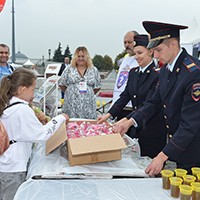 45446.jpg