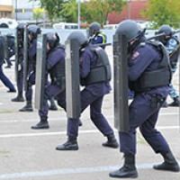 5463.jpg