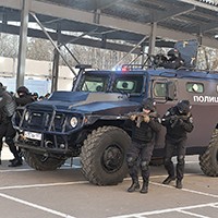 81169.jpg