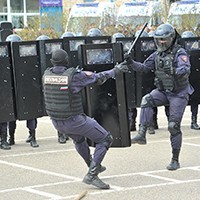 96173.jpg