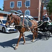 97471.jpg