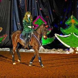 DSC_0062.jpg