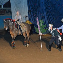 DSC_0219.jpg