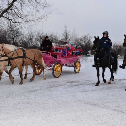 DSC_0226.jpg
