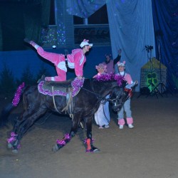 DSC_0272.jpg