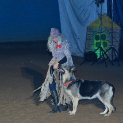 DSC_0337.jpg