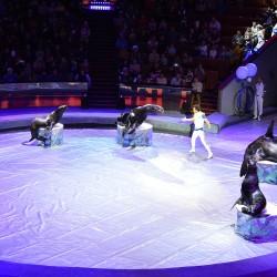 DSC_0363.jpg