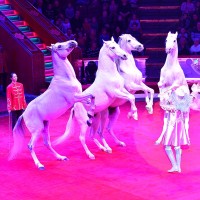 DSC_0398.JPG