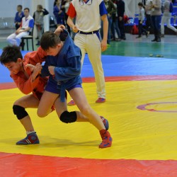 DSC_0433.jpg