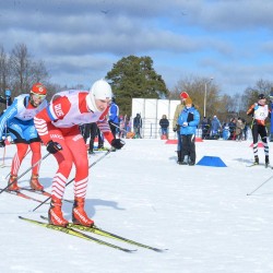 DSC_0487.jpg