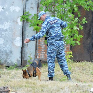 ПО РОЗЫСКНОМУ ПРОФИЛЮ
