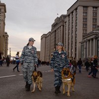 DSC_0706.JPG