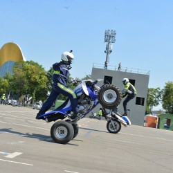 DSC_0801.jpg
