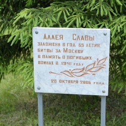 DSC_1881.JPG