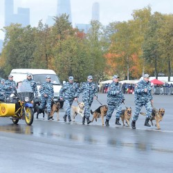 DSC_2031.JPG