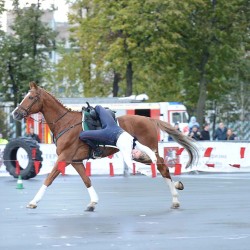DSC_2152.JPG