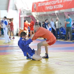 DSC_2216.jpg