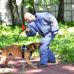 DSC_2232.JPG