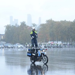DSC_2254.JPG