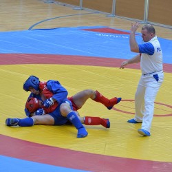 DSC_2709.JPG