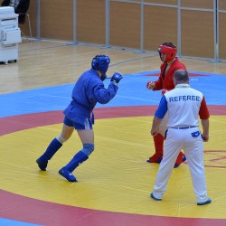 DSC_2716.JPG