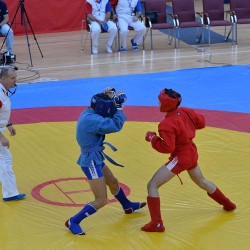 DSC_2717.JPG