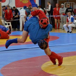 DSC_2729.JPG