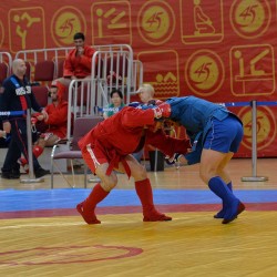 DSC_2730.JPG