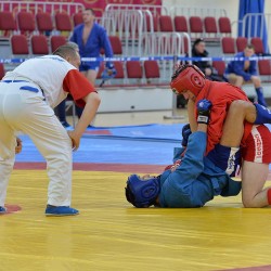 DSC_2895.JPG