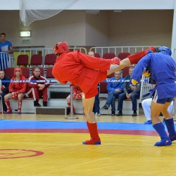 DSC_2906.JPG