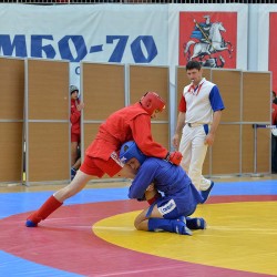 DSC_2910.JPG