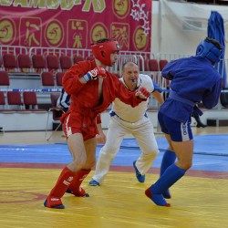 DSC_2938.JPG